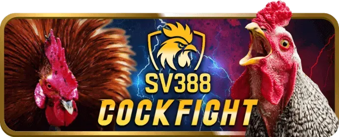 Khuyến mãi và ưu đãi Bet169